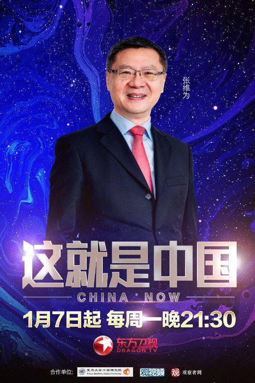 这就是中国 封面