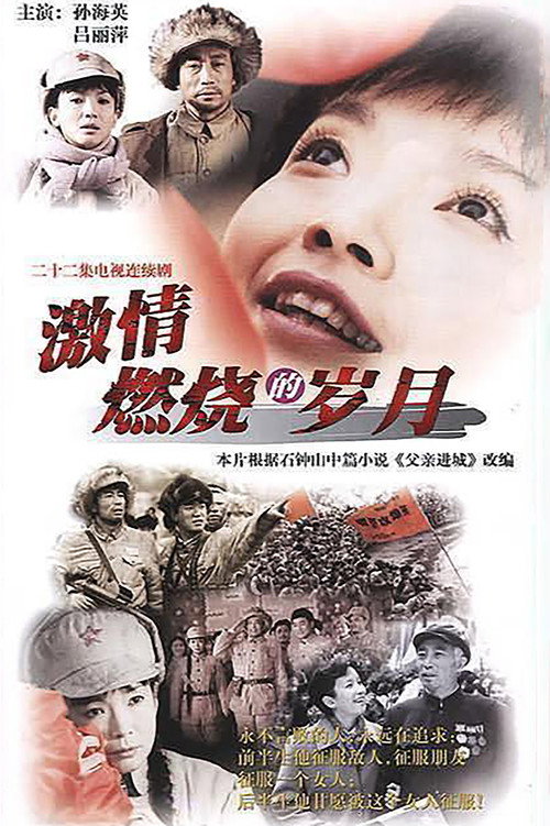 激情燃烧的岁月 封面