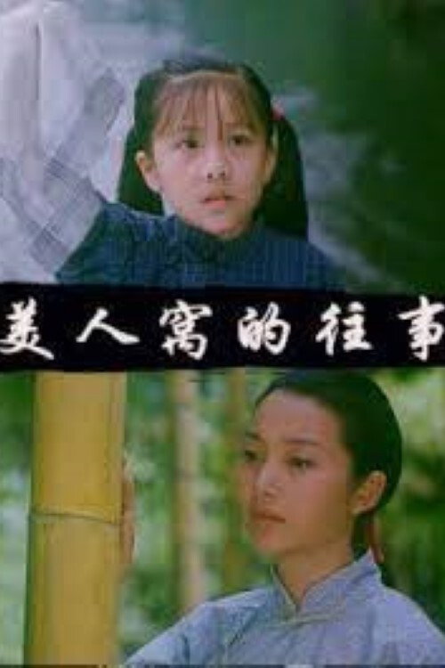 美人窝的往事 封面