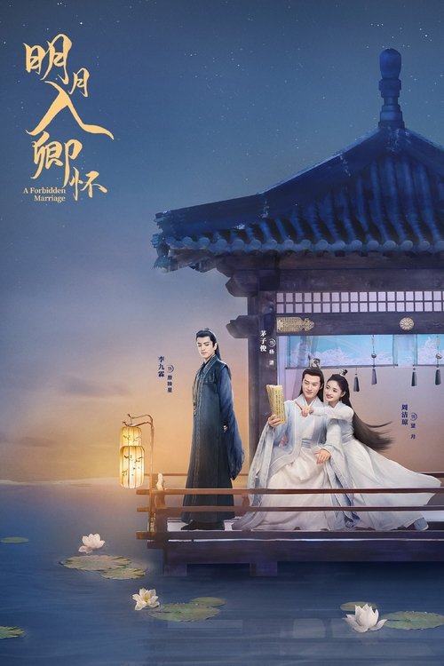 明月入卿怀 封面