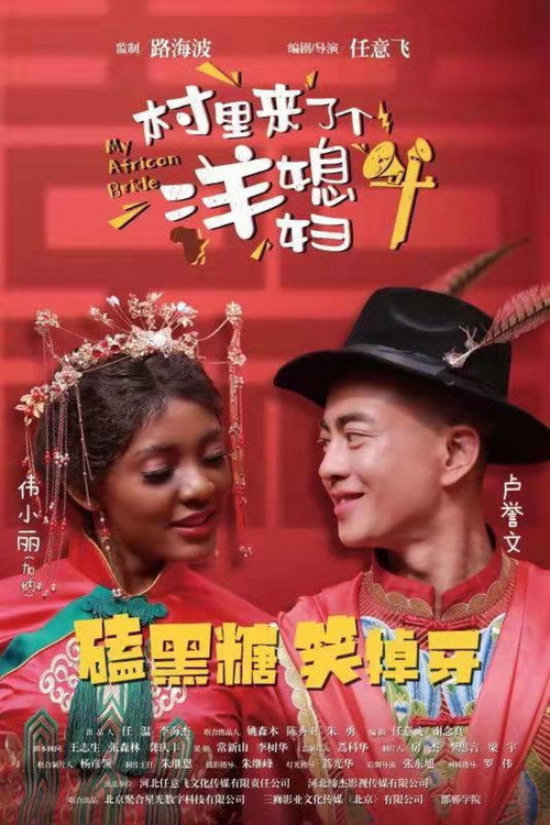 村里来了个洋媳妇 封面