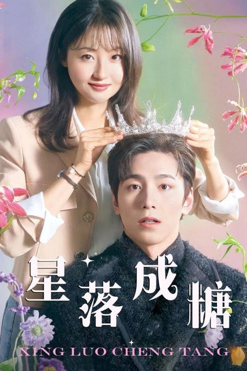 星落成糖 封面