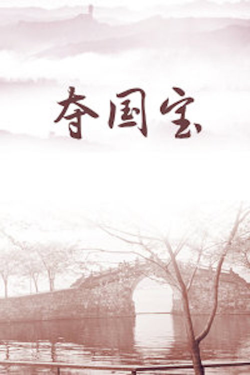 夺国宝 封面