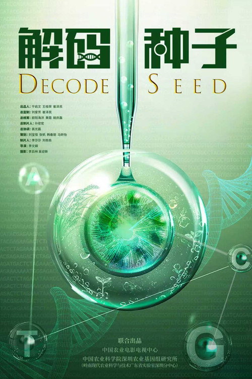 解码种子 封面