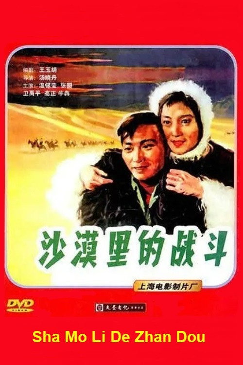 沙漠里的战斗 封面