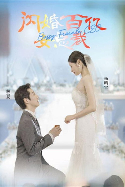 闪婚百亿女总裁 封面
