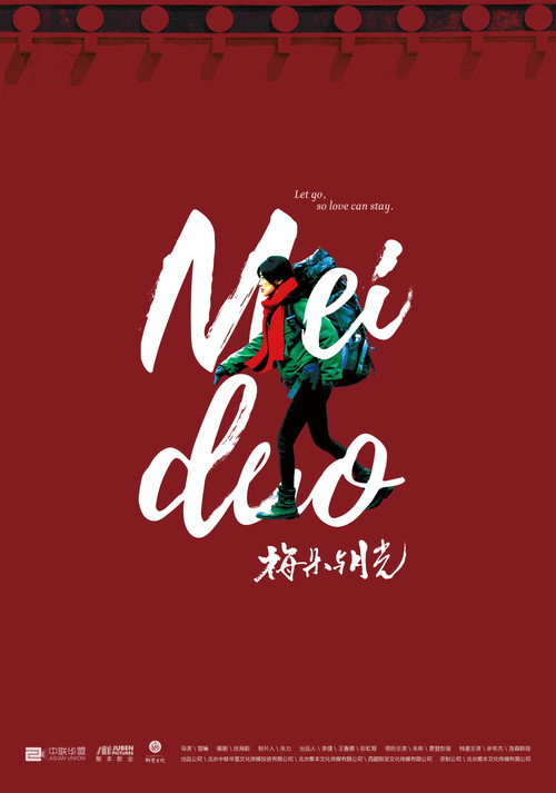 梅朵与月光 封面