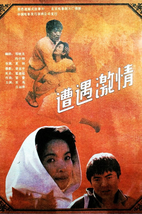 遭遇激情 封面