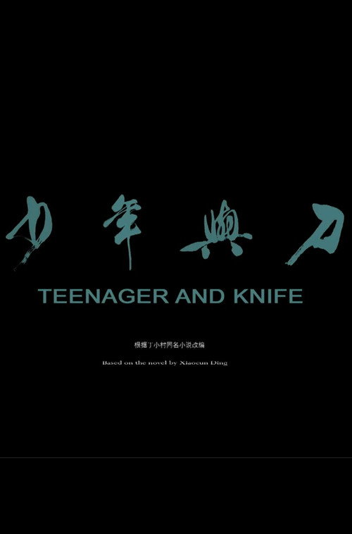 少年与刀 封面
