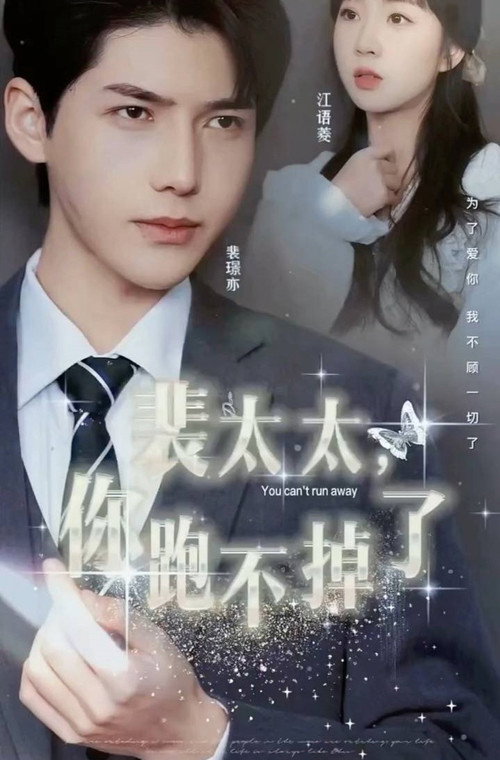 裴太太,你跑不掉了 封面