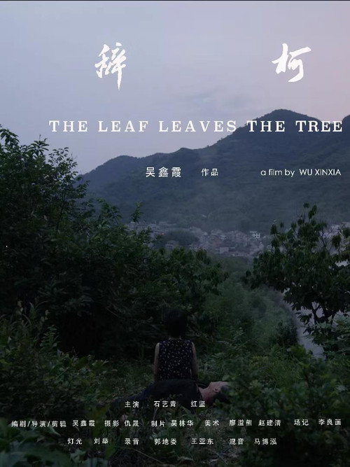 辞柯 封面