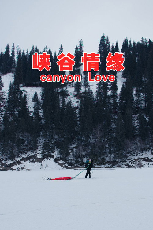峡谷情缘 封面