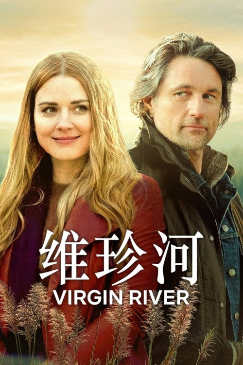 维琴河 封面