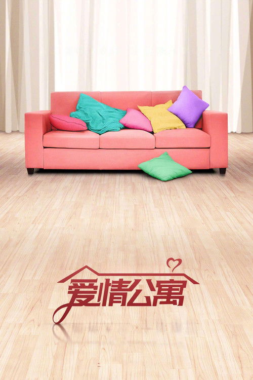 爱情公寓 封面
