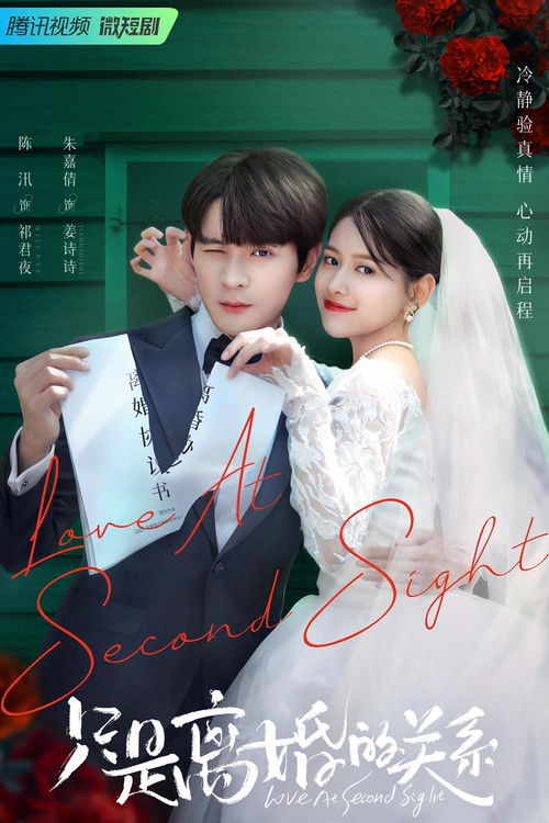 只是离婚的关系 封面