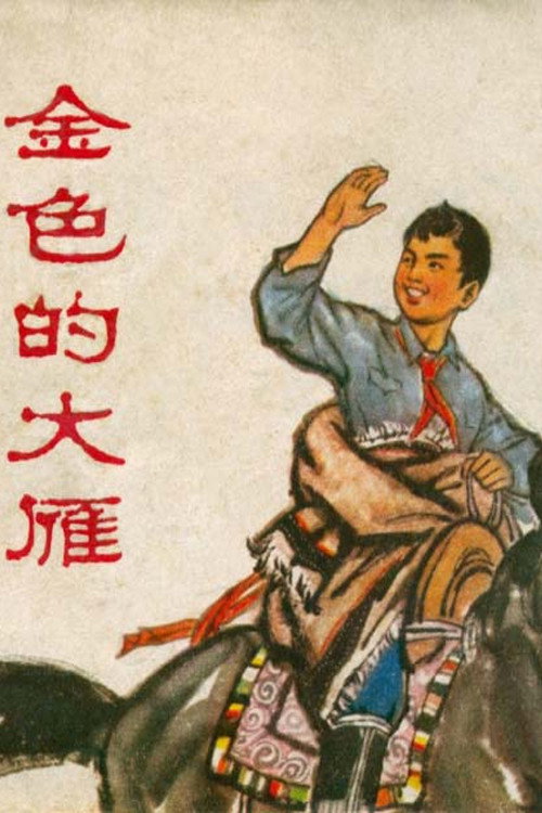 金色的大雁 封面