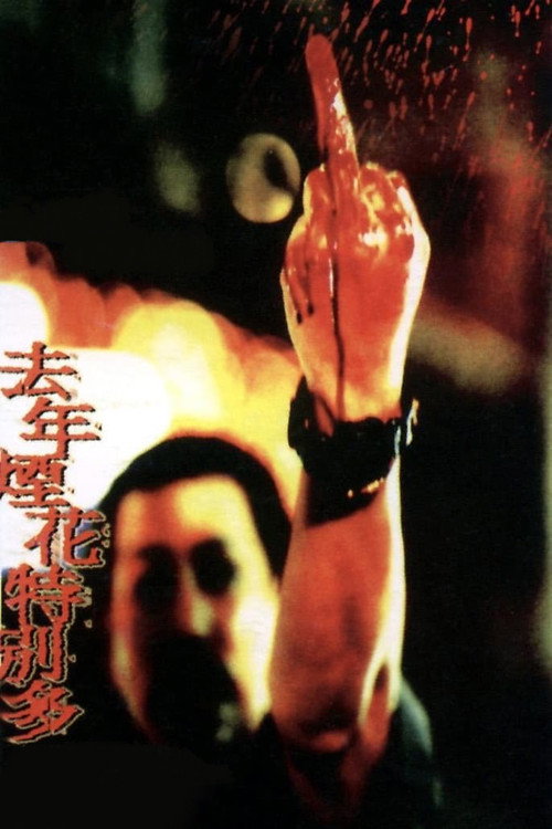 去年烟花特别多 封面