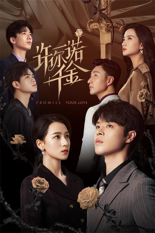 许你一诺千金 封面