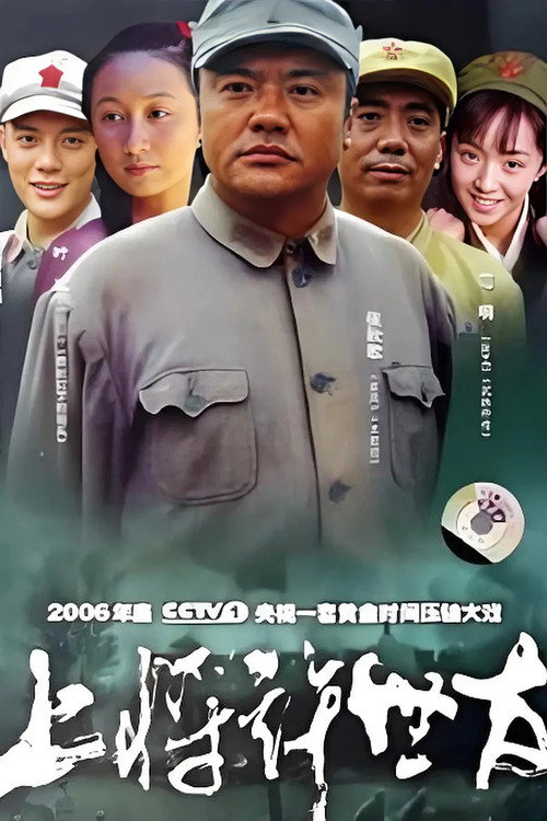 上将许世友 封面
