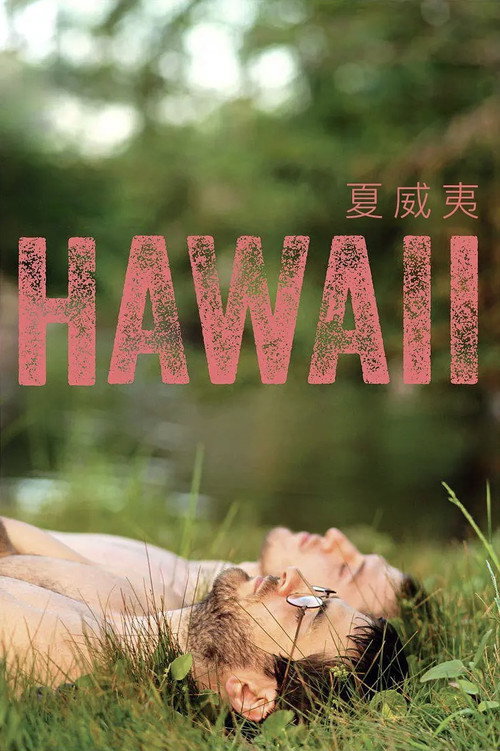 夏威夷 封面