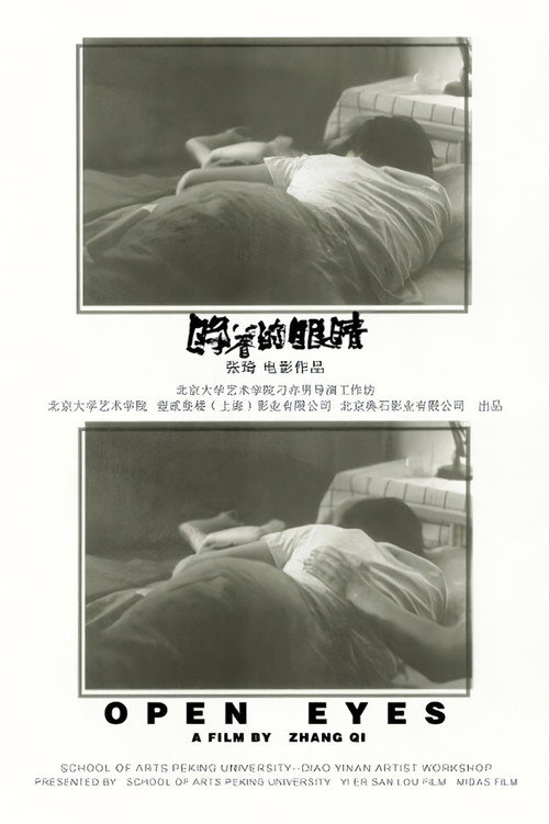 郑哲的眼睛 封面
