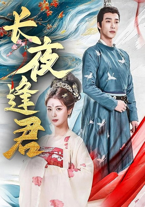 长夜逢君 封面