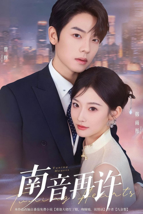 南音再许 封面