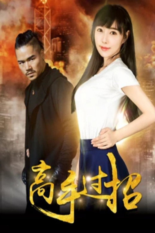 高手过招 封面