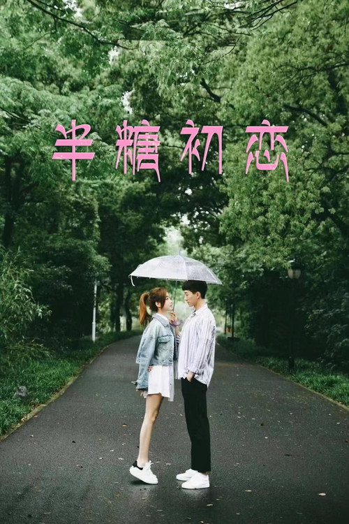 半糖初恋 封面
