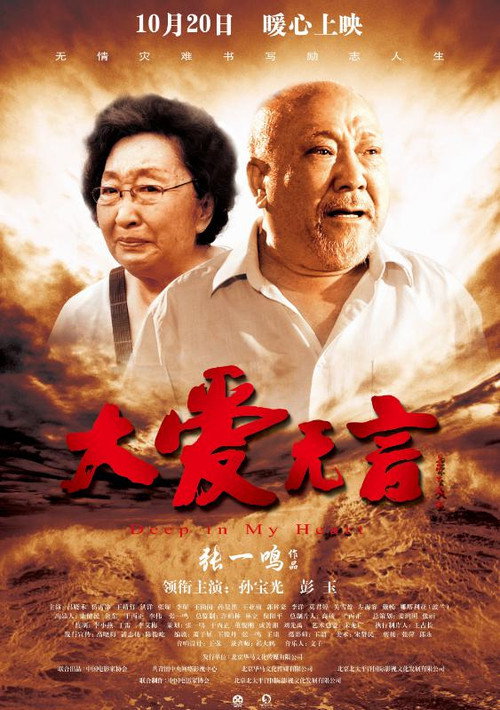 大爱无言 封面