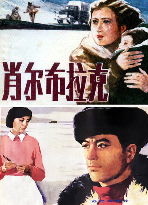 肖尔布拉克 封面