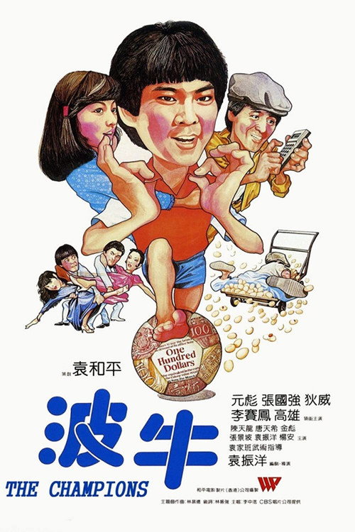 波牛 封面