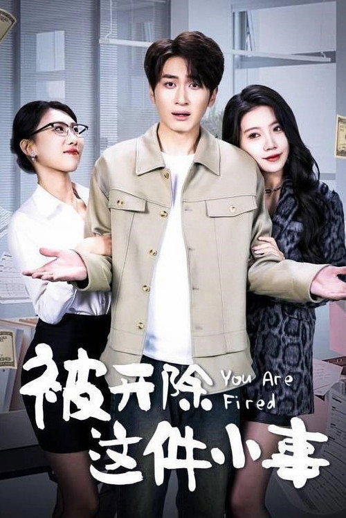 被开除这件小事 封面
