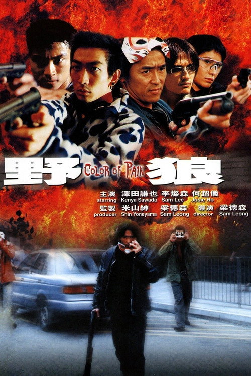 野郎 封面