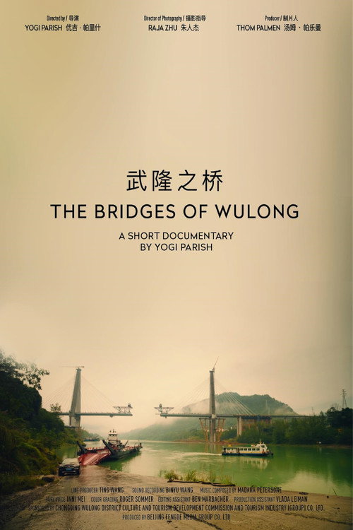 武隆橋樑 封面