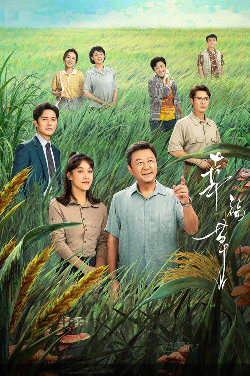幸福草 封面