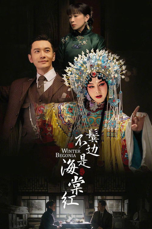 鬓边不是海棠红 封面