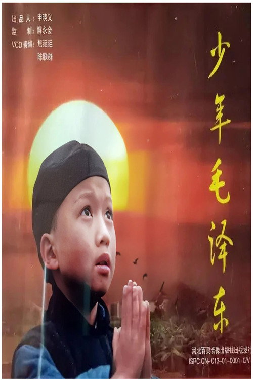 少年毛泽东 封面