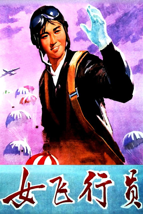女飞行员 封面
