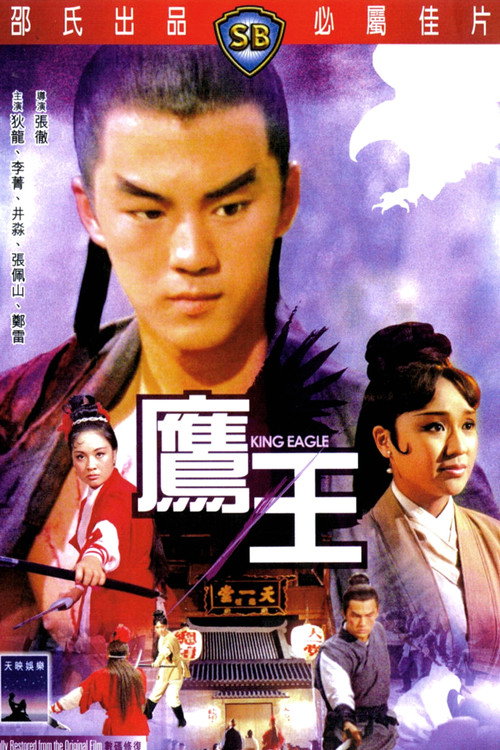 鹰王 封面