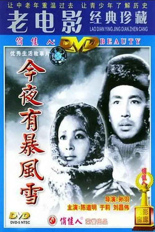 今夜有暴风雪 封面
