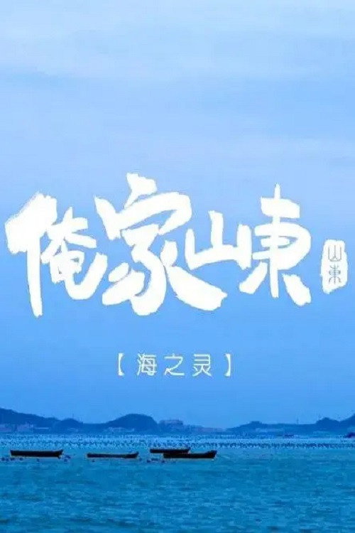 俺家山东 封面