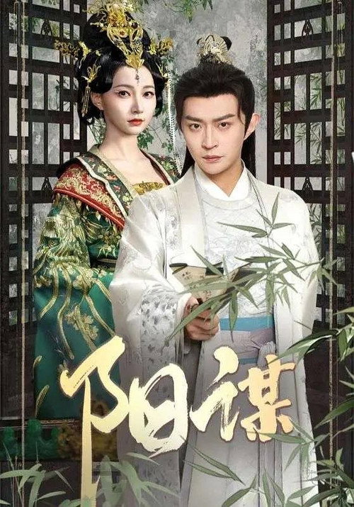 阳谋 封面