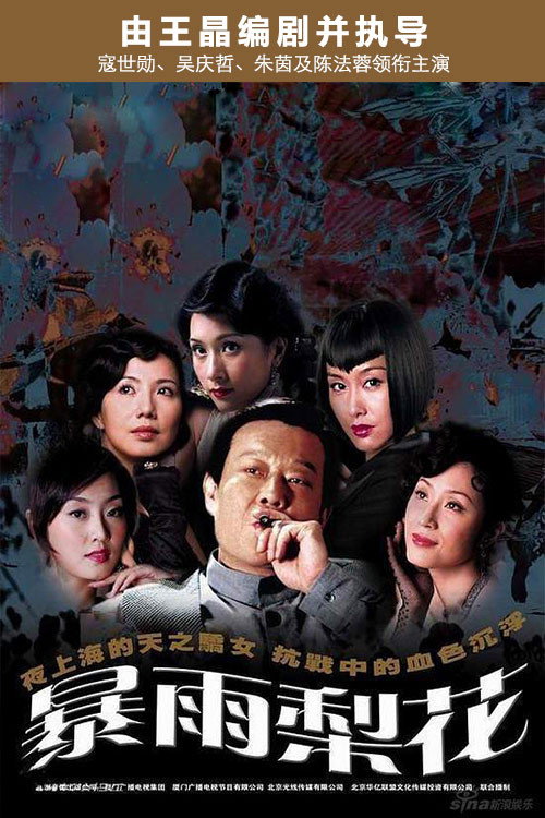 暴雨梨花 封面