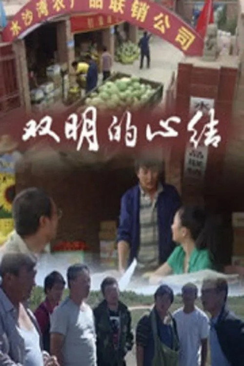 双明的心结 封面