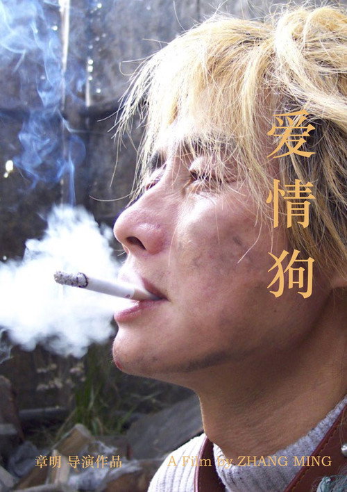 爱情狗 封面