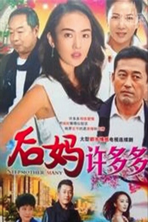 重组家庭 封面