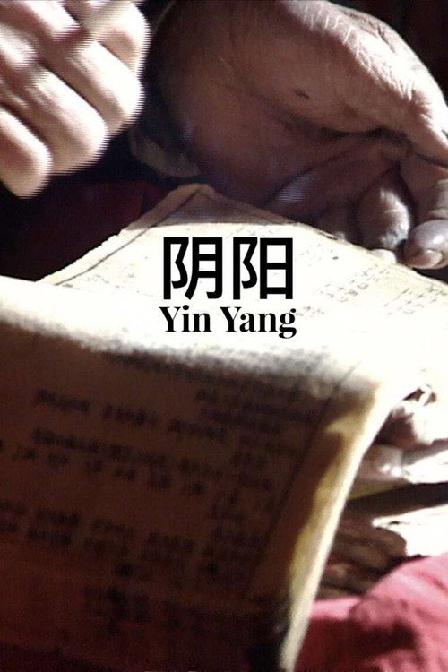 阴阳 封面
