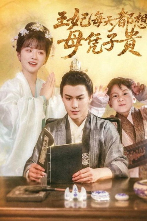 王妃每天都想母凭子贵 封面