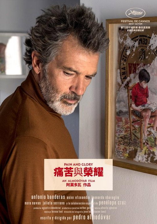 痛苦与荣耀 封面